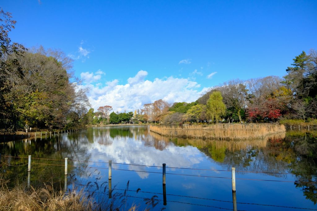 善福寺川緑地