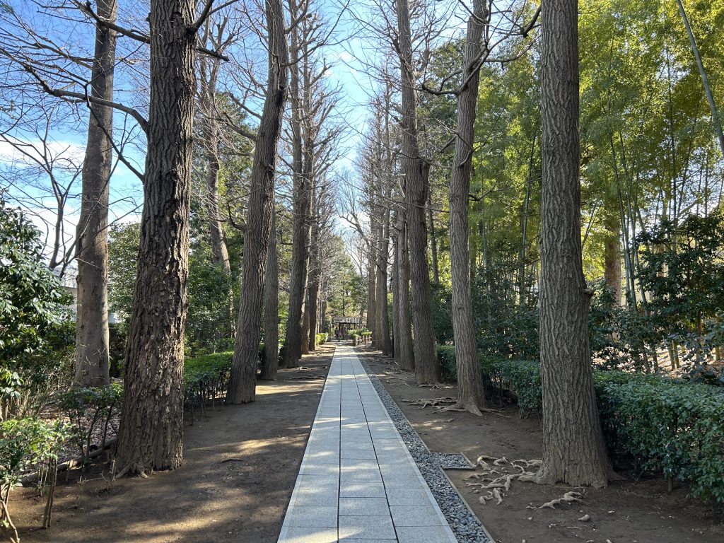 大田黒公園のイチョウ並木